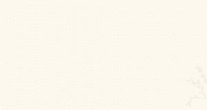 A white background with some lines on it