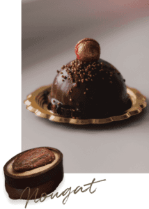 Chocolate nougat dessert on a decorative plate.