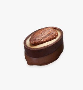 Chocolate confection with a nut topping.