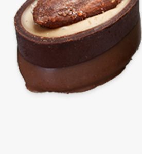 A chocolate cake with a piece of meat on top.