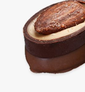 A close up of some chocolate covered meat