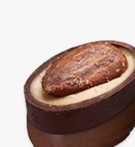 A piece of chocolate cake in a wooden box.