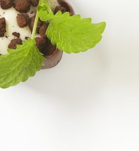 A bowl of cereal with green leaves on the side.