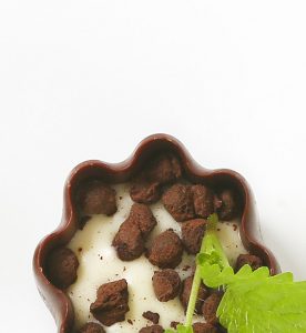 A bowl of food with meat and milk.