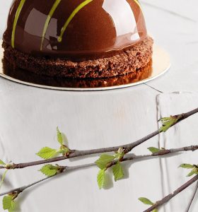 A chocolate cake sitting on top of a white plate.