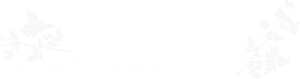 A black background with a white circle in the middle.