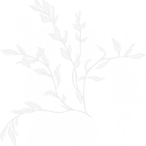 A black and white image of leaves on a branch.