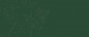 A green background with leaves on it.